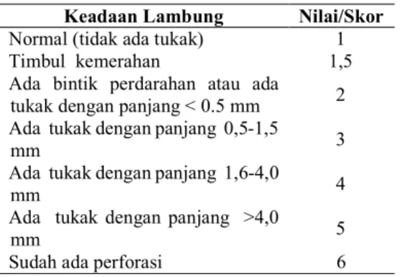 Tabel 5.  Penilaian Berdasarkan Keparahan Tukak (K)  Keadaan Lambung  Nilai/Skor  Normal (tidak ada tukak)  1 