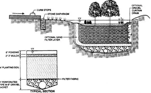 Gambar 1. Tipikal Desain Rencana Sarana Bioretensi  (Sumber : State of Maryland DoE, 1999) 