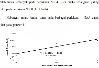 Tabel 3.  Rataan Jumlah Tunas pada Berbagai Konsentrasi NAA dan BAP (Transformasi √ X + 0.5) 