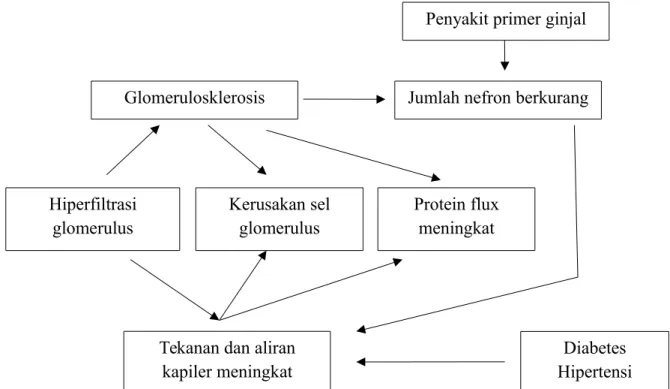Gambar 1. Siklus terjadinya gagal ginjal progresif.