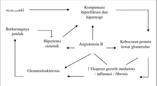 Gambar  2.4    Patogenesis  perburukan   fungsi  ginjal  pada  penyakit  ginjal  kronis    (Suwitra, 2006 dalam Sudoyo, 2006)