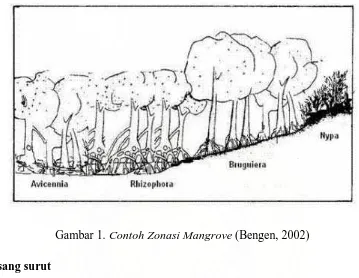Gambar 1. Contoh Zonasi Mangrove (Bengen, 2002) 