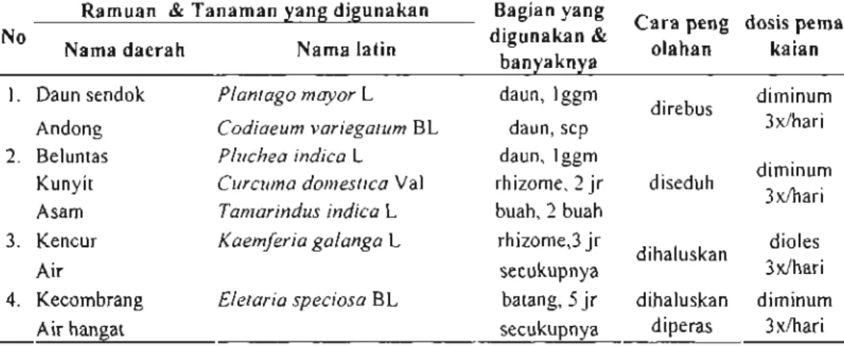 Tabel 7. Ramuan untuk Keluhan Tuberkulosa (TBC) Ramuan &amp;  T a n a m a n yang digunakan