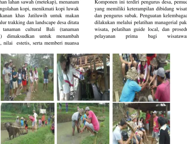 Gambar 2: Kegiatan IbW di bidang Pengembangan daya tarik wisata subak  (4) Pengembangan IRT  khas Jatiluwih