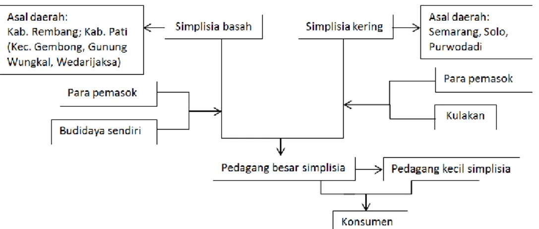 Gambar 3  Rantai pasokan (supply chains) simplisia nabati  Harga simplisa bervariasi tergantung dari jenis obat 