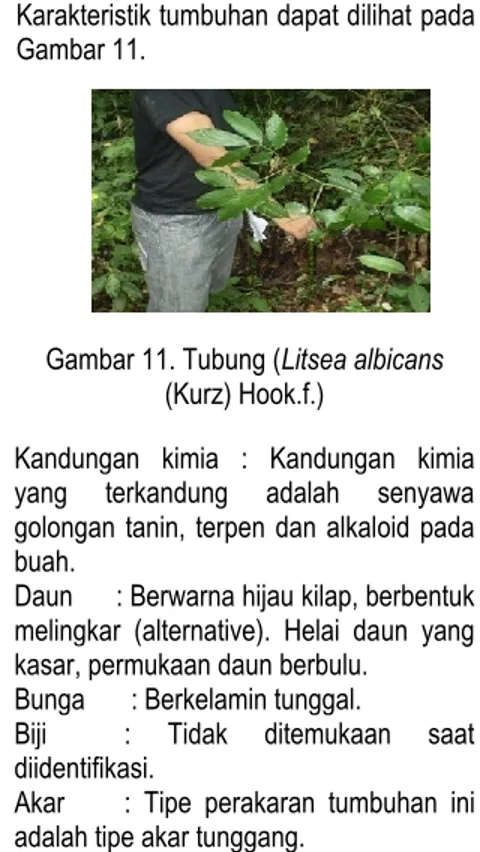 Tabel 2. Analisis tumbuhan beracun di Cagar Alam Dolok Tinggi Raja 