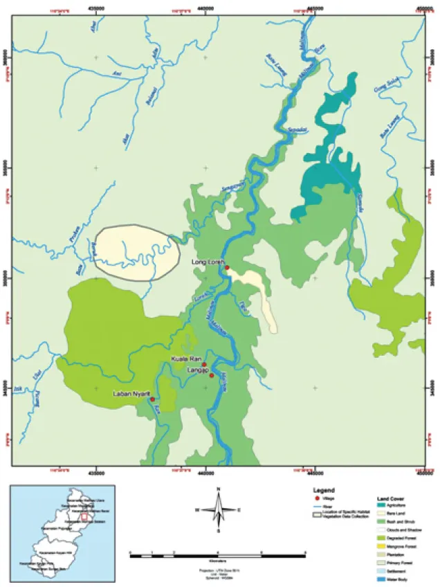 Gambar 6.  Daerah sekitar tempat pengumpulan data habitat khusus di hutan desa Sengayan