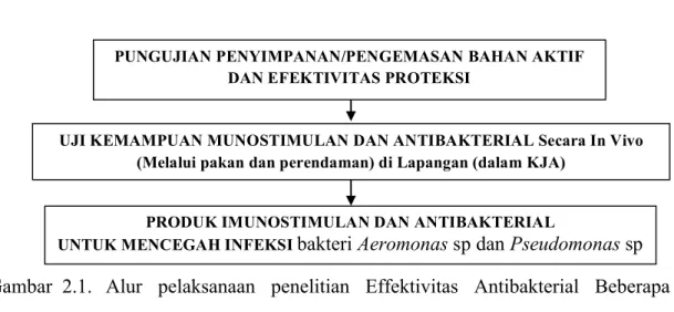 Gambar  2.1.   Alur  pelaksanaan  penelitian  Effektivitas  Antibakterial  Beberapa  Tanaman Rempah Asal Kalimantan Timur 