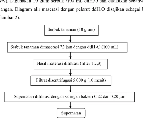 Gambar 2. Diagram alir metode maserasi komponen bioaktif tanaman dengan  pelarut ddH 2 O