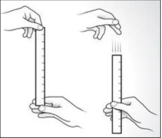 Gambar 2. Ruler drop test 29