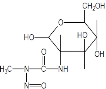 Gambar 2.2. Struktur kimia streptozotocin (Nugroho, 2006) 