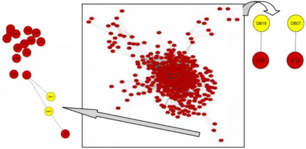 Gambar 1. Jejaring antara senyawa (kuning) dengan protein target (merah). 