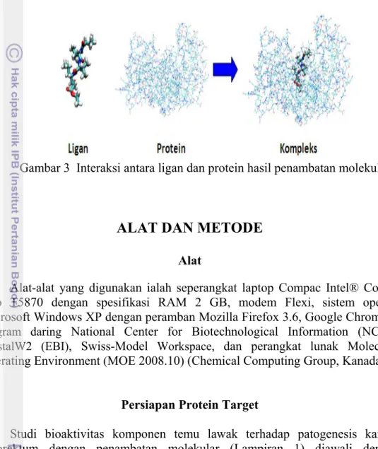 Gambar 3  Interaksi antara ligan dan protein hasil penambatan molekular 