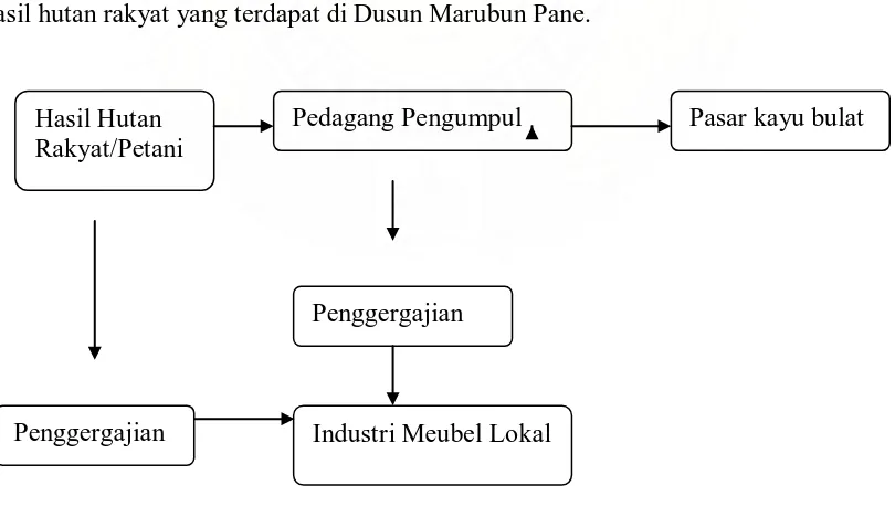 Gambar 4. Saluran Pemasaran Hasil Hutan Rakyat Dusun Marubun Pane 