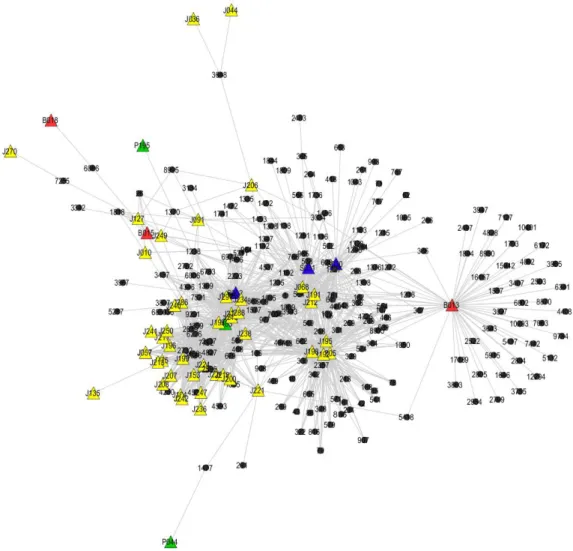 Gambar 7 merupakan jejaring yang terdiri atas 55 node sebagai bahan aktif  dan  205  node  sebagai  protein  target  unik