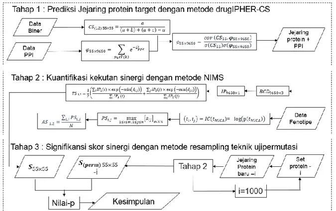 Gambar 1. Diagram alir penelitian. Kajian efek sinergis bahan aktif pada tanaman obat dilakukan dengan tiga  tahapan