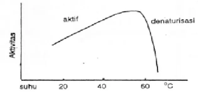 Gambar 2.8 Pengaruh suhu terhadap aktivitas enzimatik   