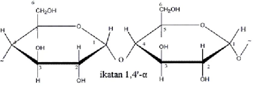 Gambar 2. Struktur ikatan amilosa 