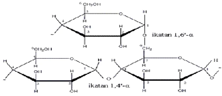 Gambar 3. Struktur ikatan amilopektin 