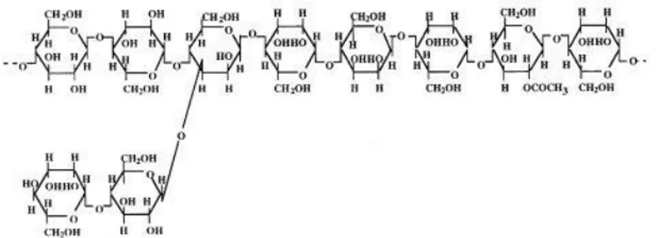 Gambar 1. Struktur Kimia Glukomannan