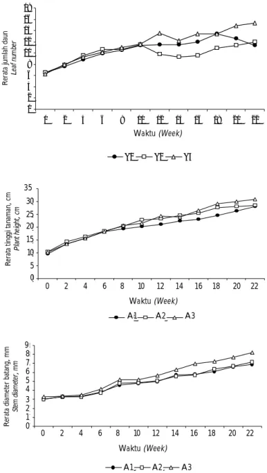 Gambar 3. Perkembangan jumlah daun, tinggi tanaman dan diameter batang tanaman kakao pada 20 minggu pertama  setelah  tanam  akibat  adanya  kompetisi  dengan  Arachis  pintoi  di  lapangan  (A1:  A.