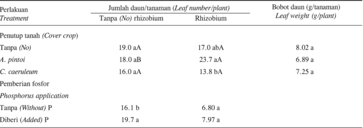 Tabel 2. Pengaruh interaksi tanaman penutup tanah dan inokulasi rhizobium serta pengaruh faktor tunggal penambahan fosfor terhadap jumlah daun dan bobot daun bibit kakao 18 minggu setelah tanam di lapangan