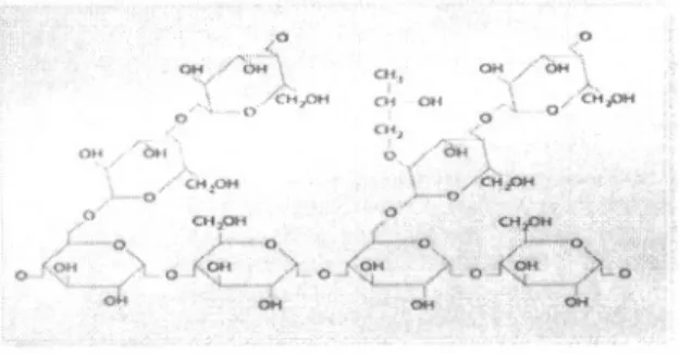 Gambar 1. Reaksi pati hidroksipropilasi dengan propilen oksidal51