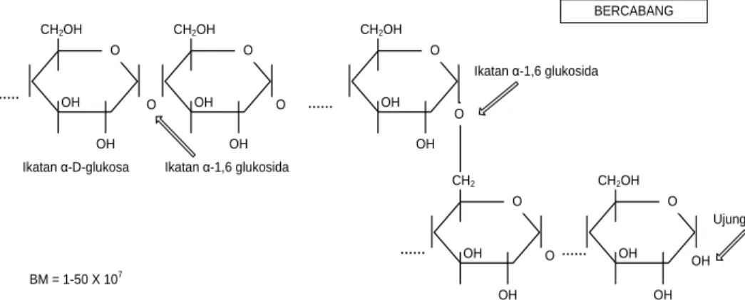 Gambar 2.  Rumus Struktur Amilopektin 