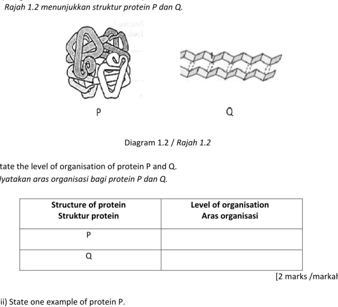Diagram 1.2 / Rajah 1.2  State the level of organisation of protein P and Q. 