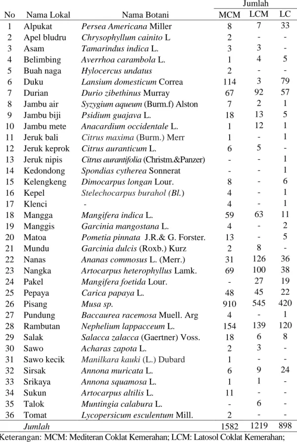 Tabel 2. Jenis dan Jumlah Tanaman Buah dan Persebarannya di Tanah Mediteran   Coklat Kemerahan, Latosol Coklat Kemerahan, dan Latosol Coklat  