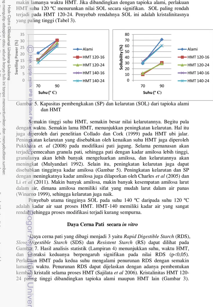 Gambar 5. Kapasitas pembengkakan (SP) dan kelarutan (SOL) dari tapioka alami  dan HMT 