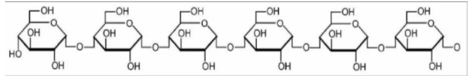 Gambar 2. Struktur Kimia Amilopektin (Rudnik, 2008) 