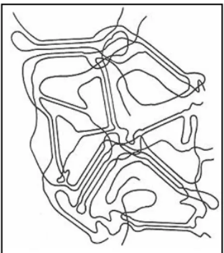 Gambar 8. Struktur gel (Fennema 1996) 