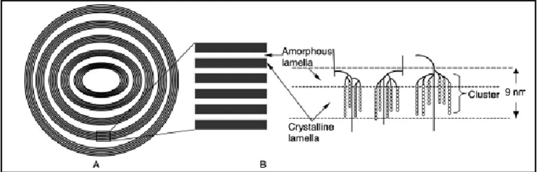 Gambar 4. Struktur kristal tipe A dan tipe B (Tester et al. 2004) 