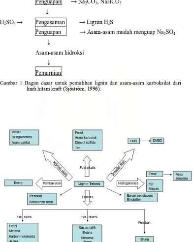 Gambar 1 Bagan dasar untuk pemulihan lignin dan asam-asam karboksilat dari lindi hitam kraft (Sj�str�m, 1996)