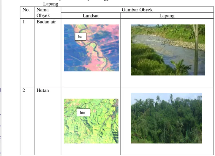 Tabel  11.  Kenampakan  Penutupan/Penggunaan  Lahan  di  Citra  Landsat  dan  di  Lapang  No