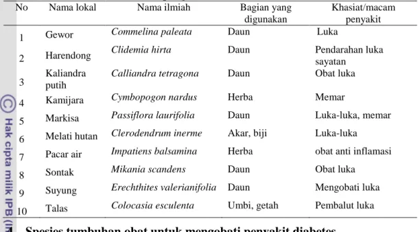 Tabel  15    Spesies  tumbuhan  obat  di  Kawasan  Hutan  Lindung  RPH  Guci  yang   dimanfaatkan untuk pengobatan luka 