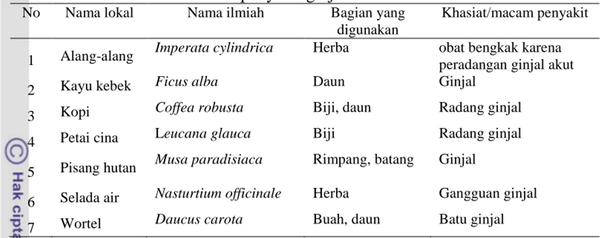 Tabel  18    Spesies  tumbuhan  obat  di  Kawasan  Hutan  Lindung  RPH  Guci  yang   dimanfaatkan untuk penyakit ginjal 