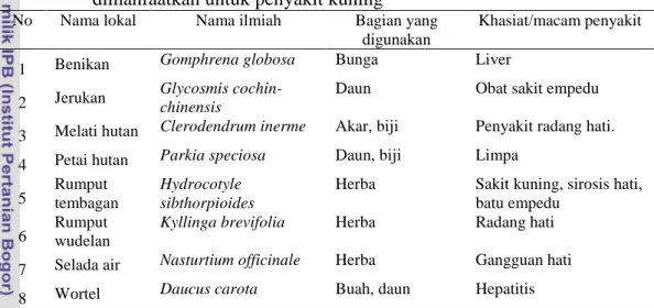 Tabel  20    Spesies  tumbuhan  obat  di  Kawasan  Hutan  Lindung  RPH  Guci  yang   dimanfaatkan untuk penyakit kuning 