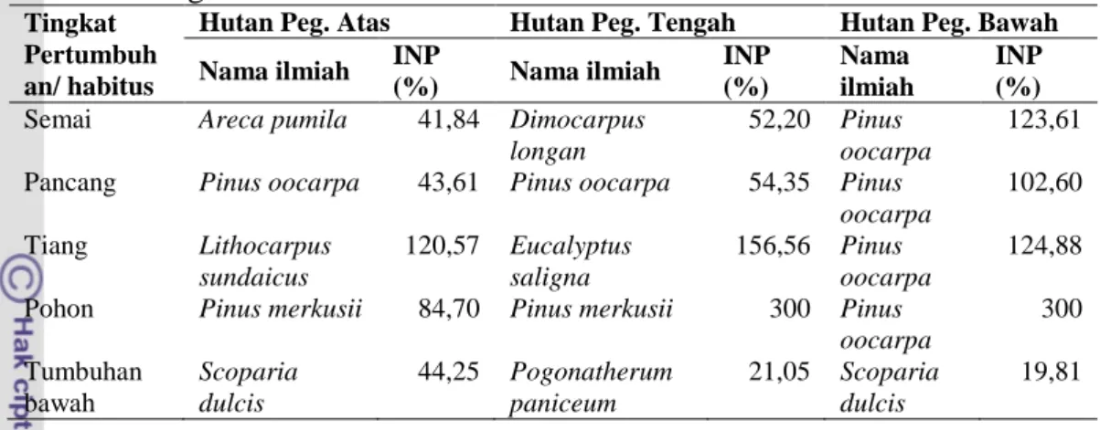 Tabel  8    Spesies  dengan  INP  tertinggi  di  tiga  tipe  hutan  pegunungan  pada  tegakan RBC 