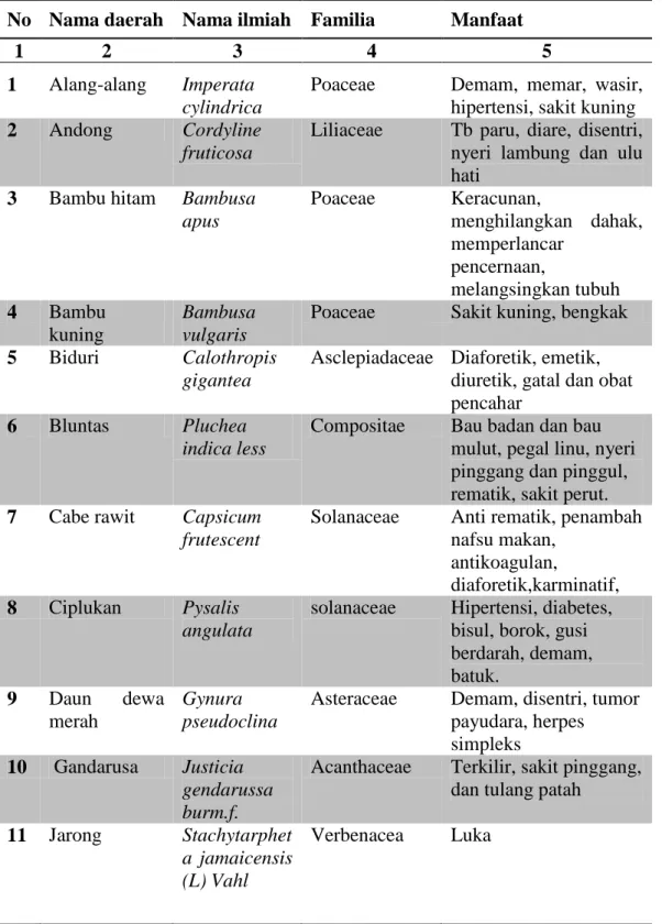 Tabel 1. Jenis Tumbuhan Obat Yang Ditemukan di Area Kampus 2 UIN  Alauddin   Samata  dan sekitarnya   