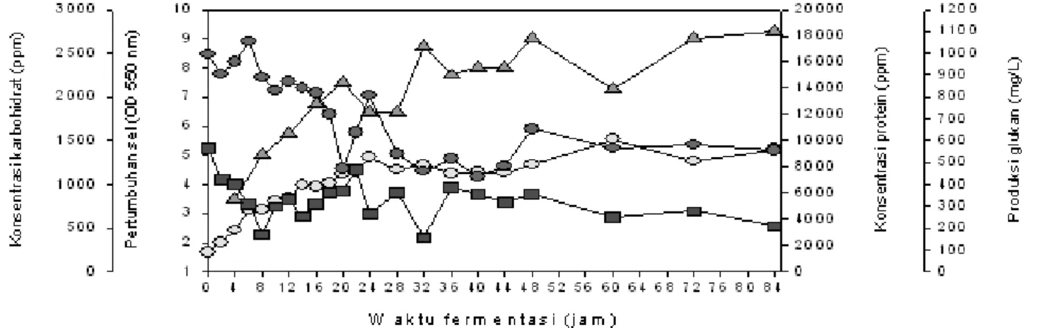 Gambar 4. Produksi â-glukan oleh S. cerevisiae dan hasil analisis kimia pada media mengandung gula pasirGambar 3