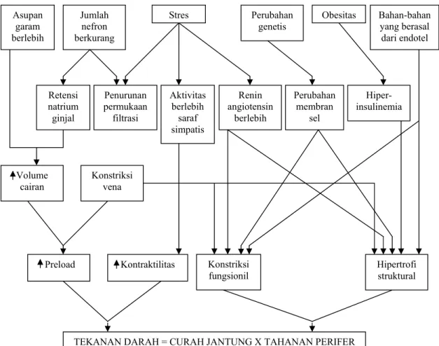 Gambar 2.1 Faktor-faktor yang berpengaruh pada pengendalian tekanan  darah (Yogiantoro, 2009)  Bahan-bahan yang berasal dari endotel Jumlah nefron berkurang Obesitas Perubahan genetis StresHiper-insulinemia Hipertrofi struktural Kontraktilitas 