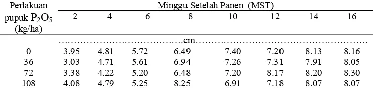 Tabel 8  Pengaruh  pemupukan  P2O5  terhadap panjang tangkai daun 