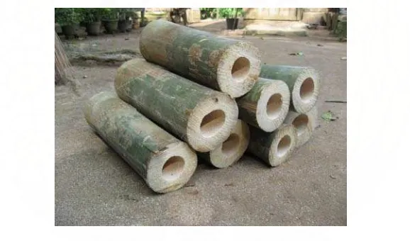 Gambar 1. Bambu betung 