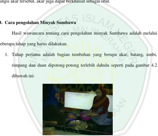 Gambar 4.2 Proses pemotongan tumbuhan bahan dasar minyak Sumbawa. 