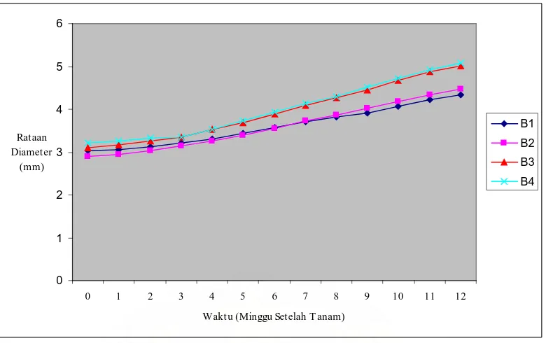 Gambar 2. Grafik rataan pertambahan diameter ketiga jenis klon  dengan perlakuan penyiraman yang berbeda