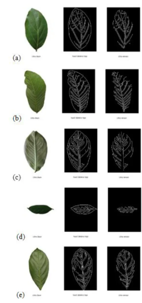 Gambar 9  Citra venasi hasil deteksi tepi Canny  pada  citra  daun  (a)  avokad,  (b)  jambu  biji,  (c)  jambu  bol,  (d)  menteng dan (e) nangka