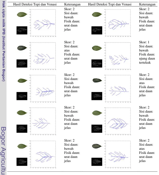 Tabel 2 Hasil ekstraksi dan skor penilaian pada citra daun nangka 