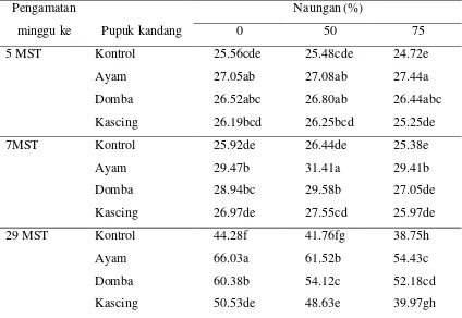 Tabel 3. Interaksi naungan dan jenis pupuk kandang terhadap tinggi  tanaman                lidah buaya pada umur 5, 7 dan 29 MST (cm) 